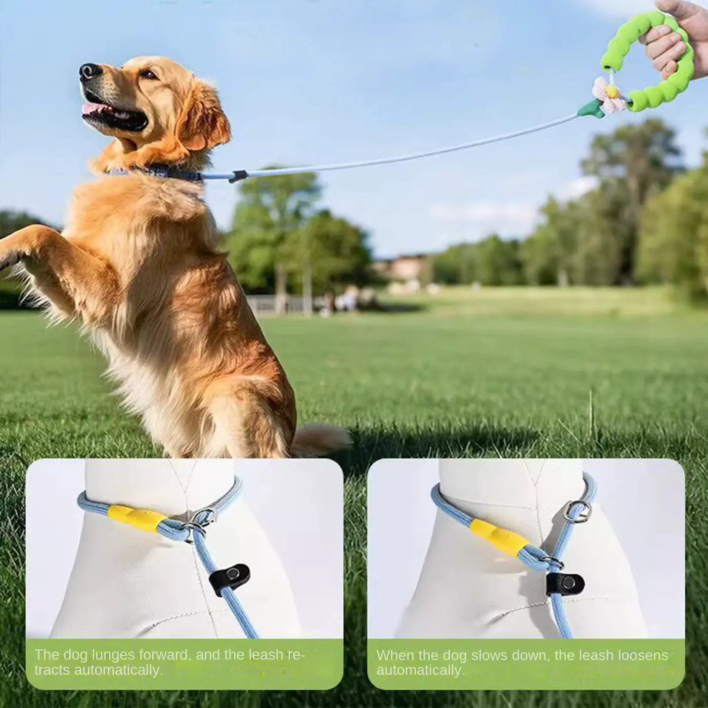 Pastel Floral Decor DOG Leash 6cm Thin Nylon Walking OEM Wholesale product image 2