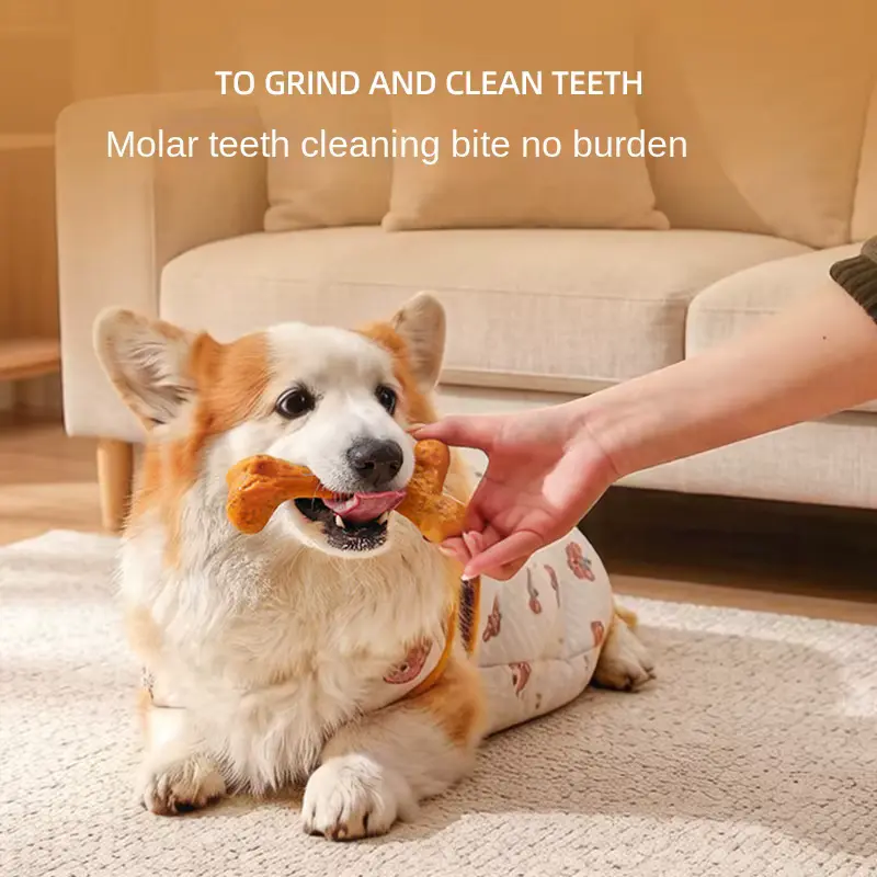 DOG Chew Bone Durable Stick Puppy AND Large TOY Educational Wholesale product image 3