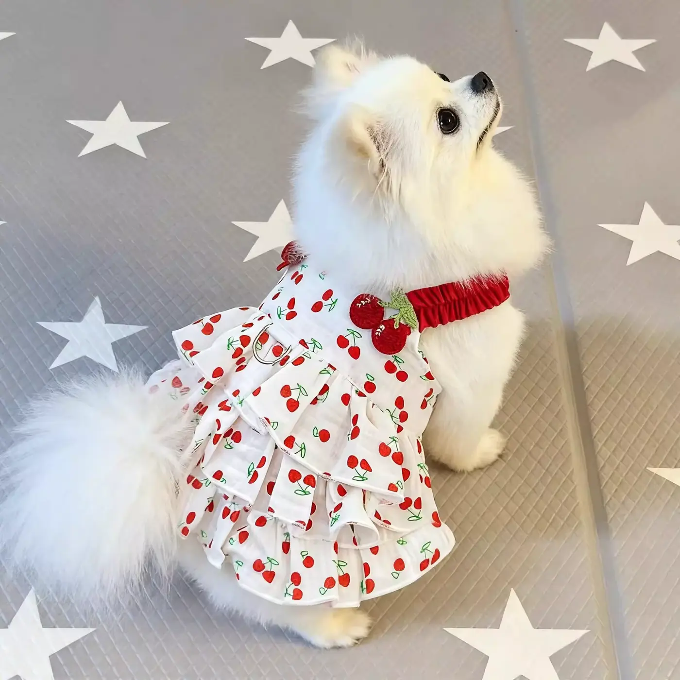 Print Dress Skirt Outfit White Cherry DOG Harness Tiered Wholesale