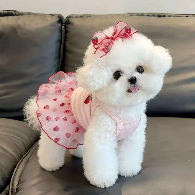 Print Dress Outfit Strawberry DOG Tutu With BOW Tulle Wholesale