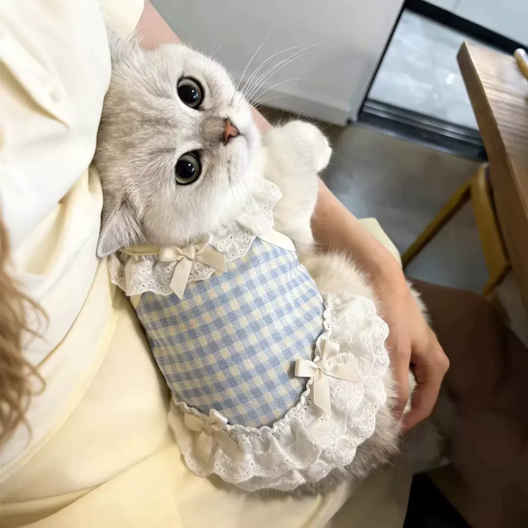 CAT Princess Dress Clothes Breathable Polyester French BOW Ragdoll Wholesale product image 3