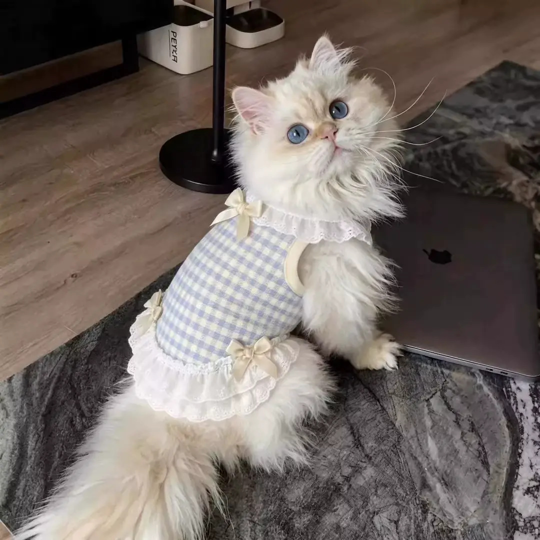 CAT Princess Dress Clothes Breathable Polyester French BOW Ragdoll Wholesale