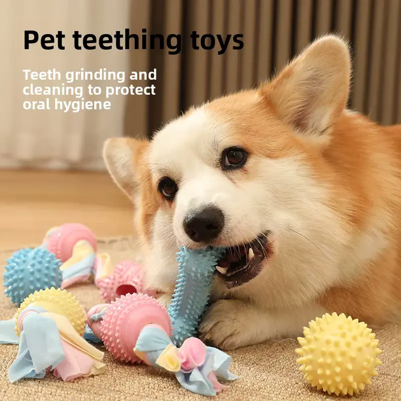 DOG Molar Chew Toys Medium-sized Bite-resistant Sounding Spherical Thermoplastic Educati Wholesale product image 2