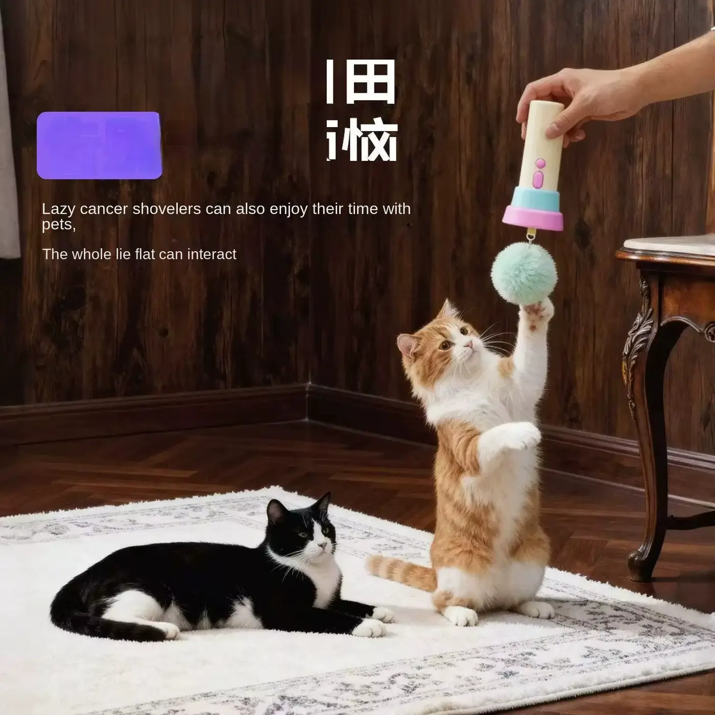 CAT One-click Launching Electric Teasing GUN Recyclable Shooting Physical-consumption Ed Wholesale product image 2