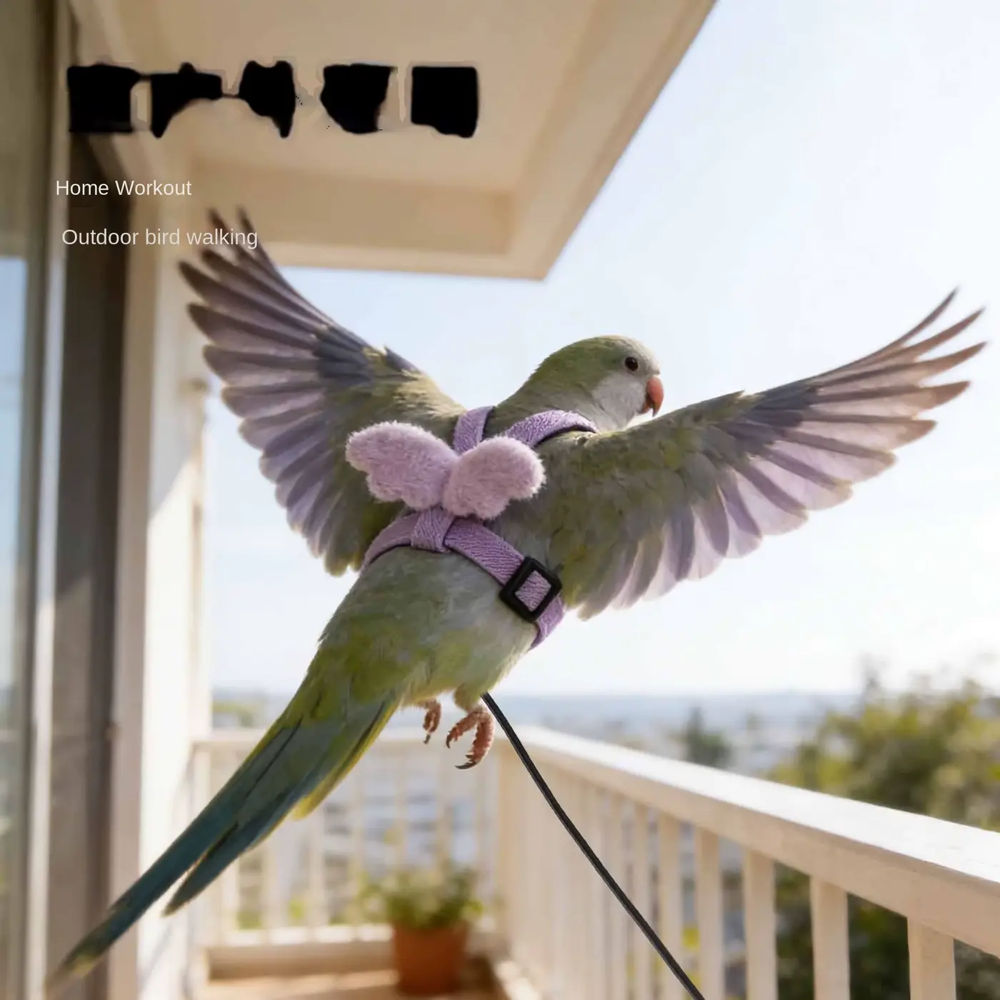 SET Wing Parrot Harness AND Leash Adjustable Bird FOR Wholesale product image 3