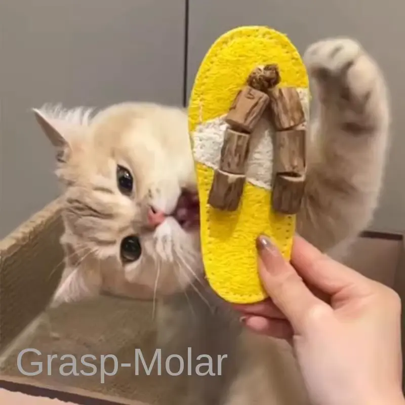 CAT TOY Novelty Boredom Relief Loofah Chew-resistant Teeth Grinding Educational Wholesale