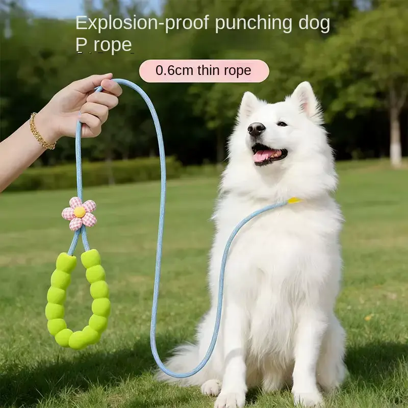 Pastel Floral Decor DOG Leash 6cm Thin Nylon Walking OEM Wholesale